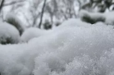 Buz şəffafdır, bəs qar niyə ağ görünür? 