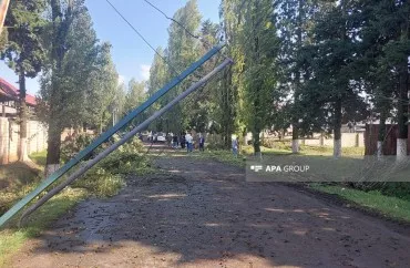 Lənkəranda güclü küləyin fəsadları: kənd işıqsız qaldı