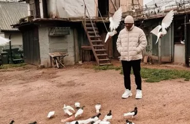 Mayk Tayson  göyərçin qalmaqalının  iştirakçısı oldu