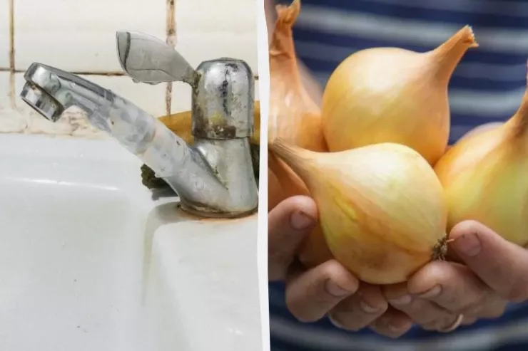 Təcrübəli evdar qadınlar  niyə mətbəxdəki su kranlarını soğanla sürtürlər?