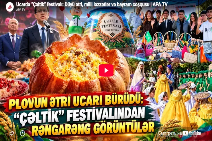 Ucarda “Çəltik” festivalı: Düyü ətri, milli ləzzətlər və bayram coşqusu-VİDEO 