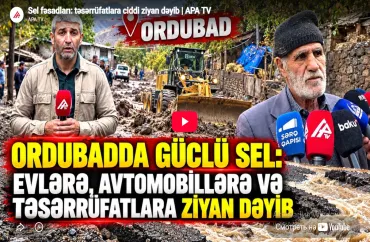 Sel fəsadları: təsərrüfatlara ciddi ziyan dəydi-VİDEO