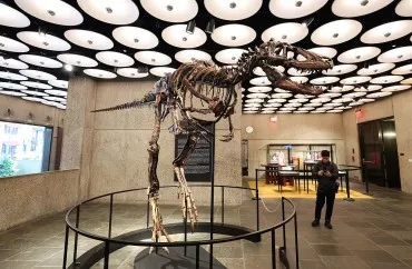 ABŞ-da 67 milyon illik dinozavr skeleti 47 milyon dollara satıldı