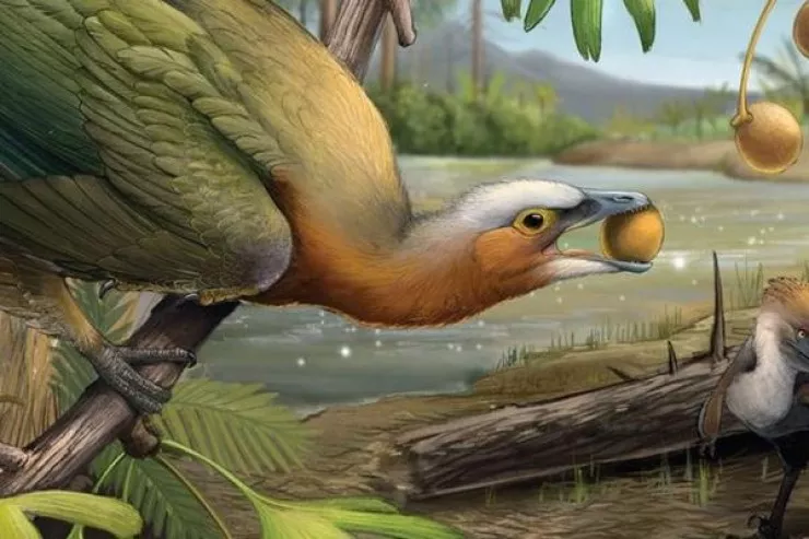 Yeni dinozavr növü aşkarlandı: Meyvə ilə qidalanırmış 