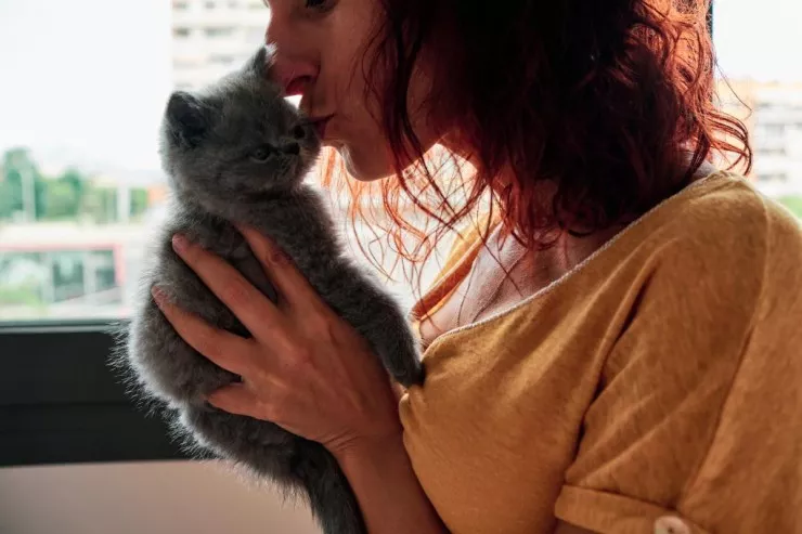Pişiklər sahiblərini itlər qədər  sevirmi?