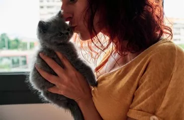 Pişiklər sahiblərini itlər qədər sevirmi?