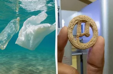 Plastik butulkalardan peçenye  hazırladılar - Alimlərin yeni üsulu mübahisə yaratdı