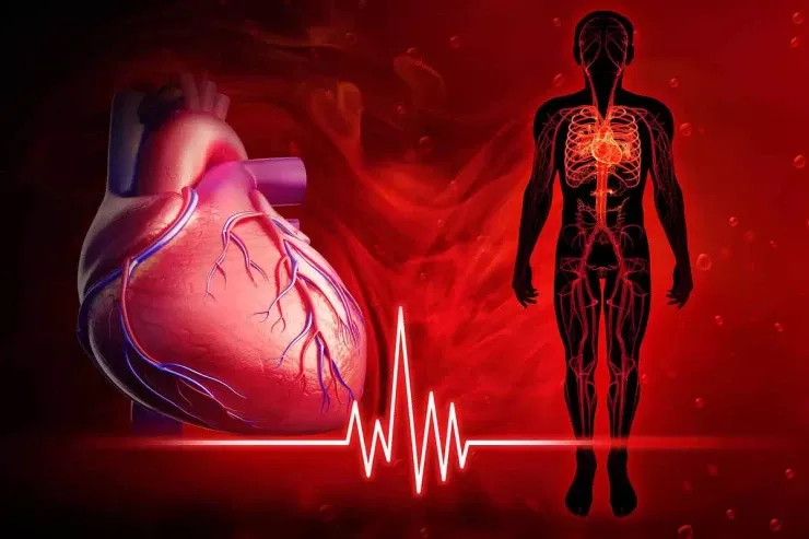 Süni intellekt ürək xəstəliklərini  saniyələr içində aşkarlaya bilər 