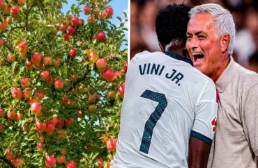 Mourinyo Vinisiusu meyvə verən ağacla müqayisə etdi: "İnsanlar isə meyvəni istədikləri üçün daş atırlar"