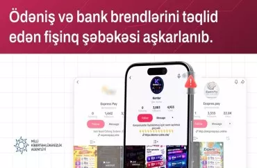 Ödəniş sistemlərini təqlid edən 6 saxta sayt aşkarlandı - RƏSMİ
