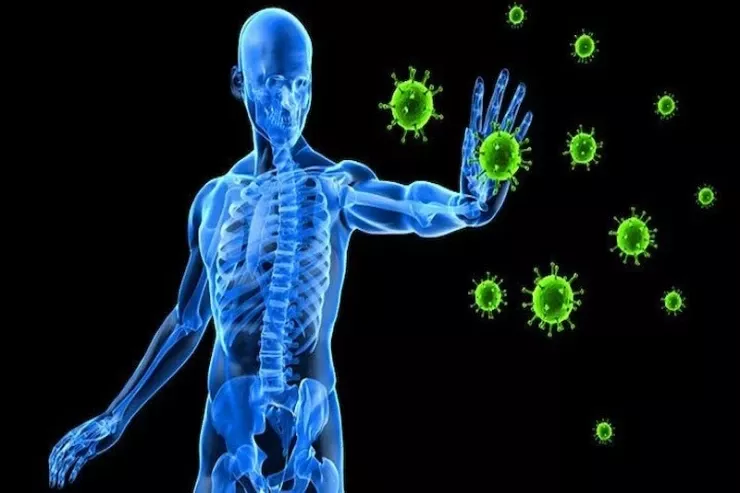 Yaşlandıqca immunitet niyə zəifləyir? - Araşdırma 