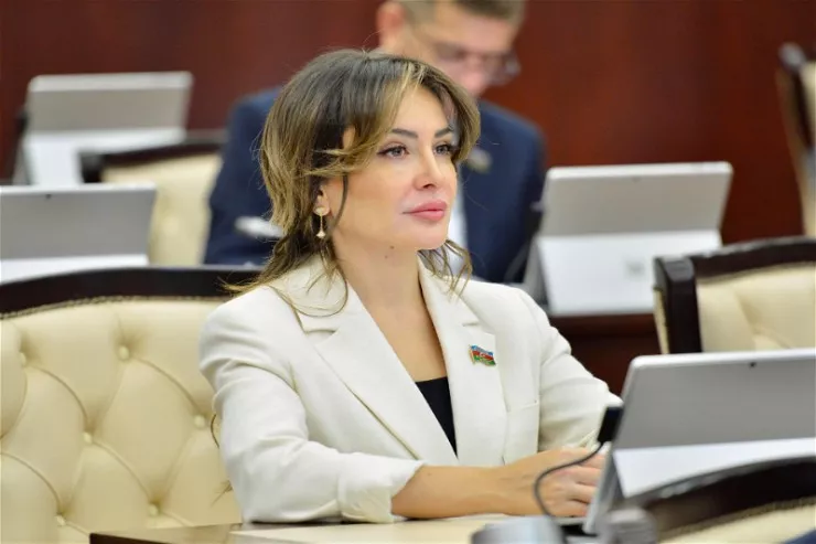 “Beynəlxalq ictimaiyyətin susqunluğu erməni vandalizminin genişlənməsinə səbəb oldu” - Nigar Məmmədova 