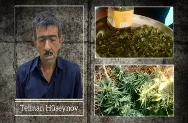 61 yaşında 140 narkotik kolu yetişdirmişdi, TUTULDU 