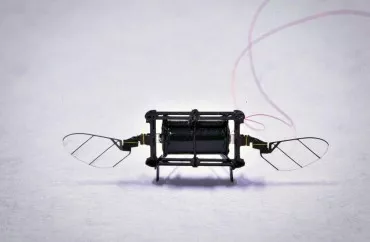 MIT-in balaca uçan robotu süni intellektlə  4,5 dəfə sürətləndi