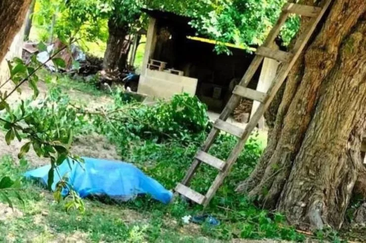 Qubada kişi qoz ağacından yıxılıb öldü 